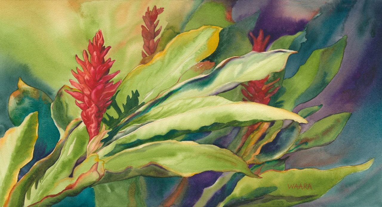 Watercolor painting of red ginger