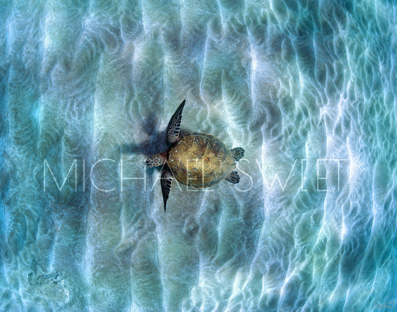 A sea turtle above the shifting sands of the ocean floor by Michael Sweet.