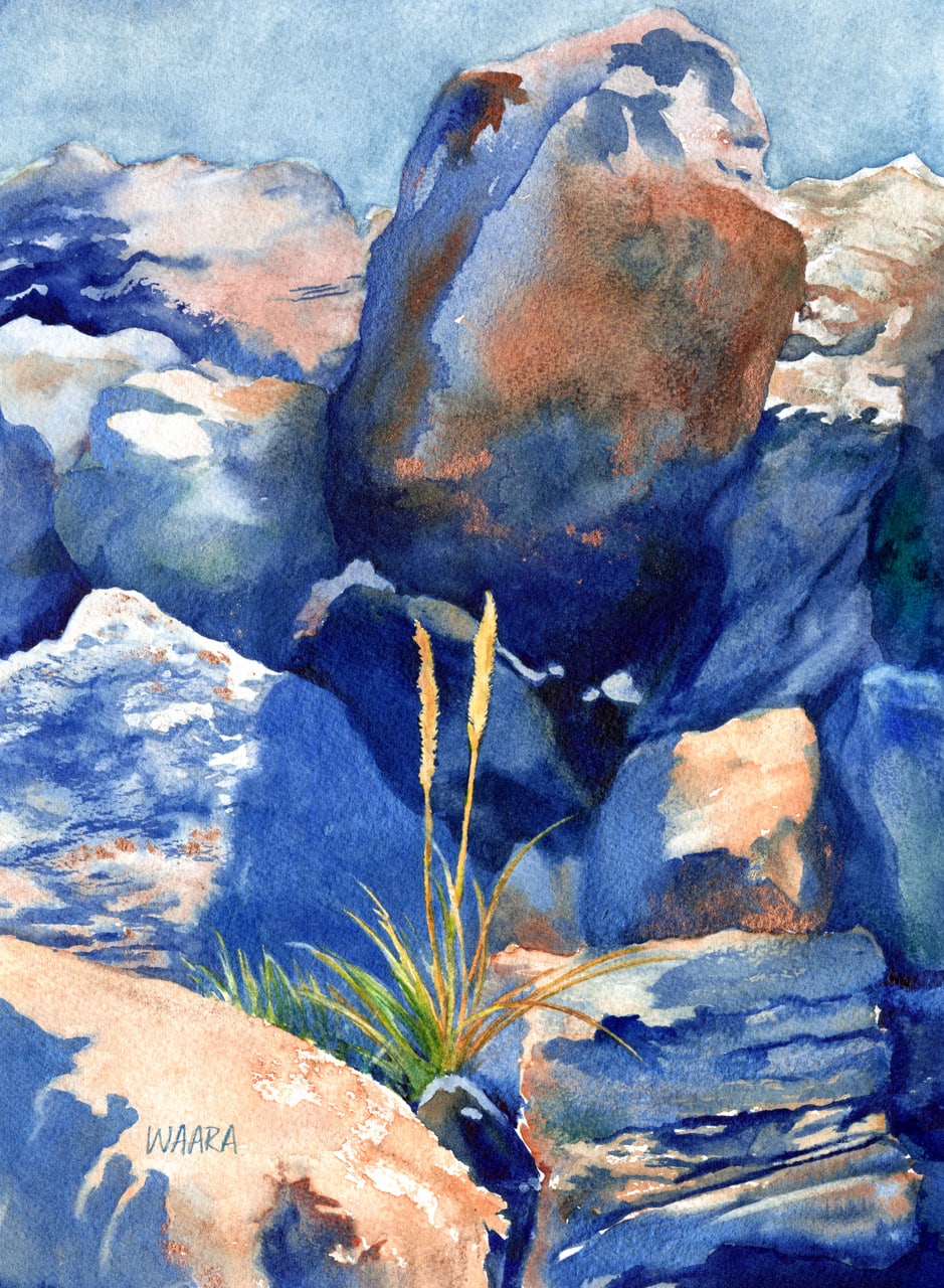 Watercolor painting of a few blades of grass growing among rocks on Haleakala on Maui