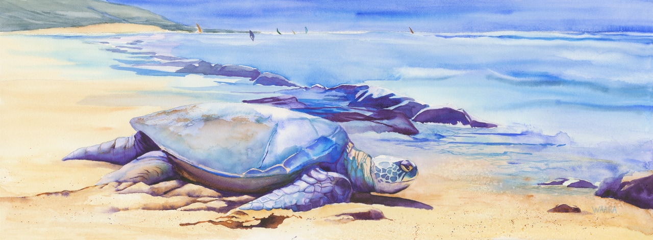 Watercolor painting of a Hawaiian sea turtle on Ho'okipa beach in Maui