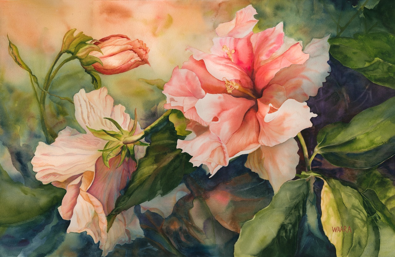 Watercolor painting of Kona Double Hibiscus flowers