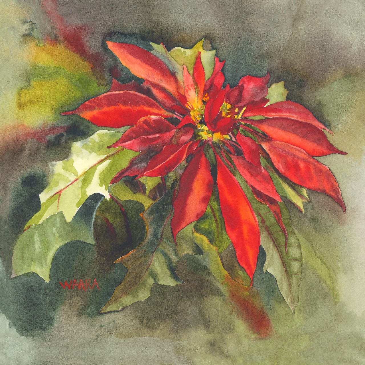 Watercolor painting of a poinsettia plant