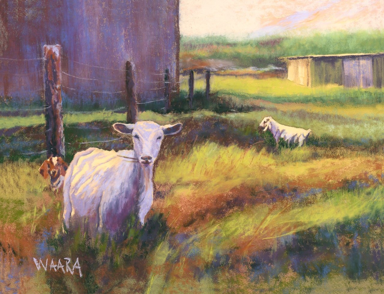 Soft pastel painting of three goats in a farmer's field in upcountry Maui Hawaii