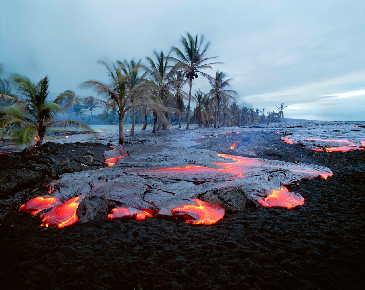 Palm trees are engulfed by lava on the Big Island of Hawaii in this photo by Brad Lewis. Kilauea is the most active volcano on Earth.