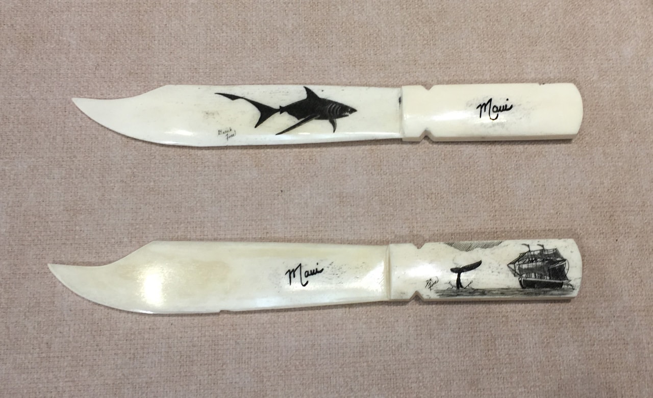 Sea Life Scrimshaw Letter Opener by Derek Fine