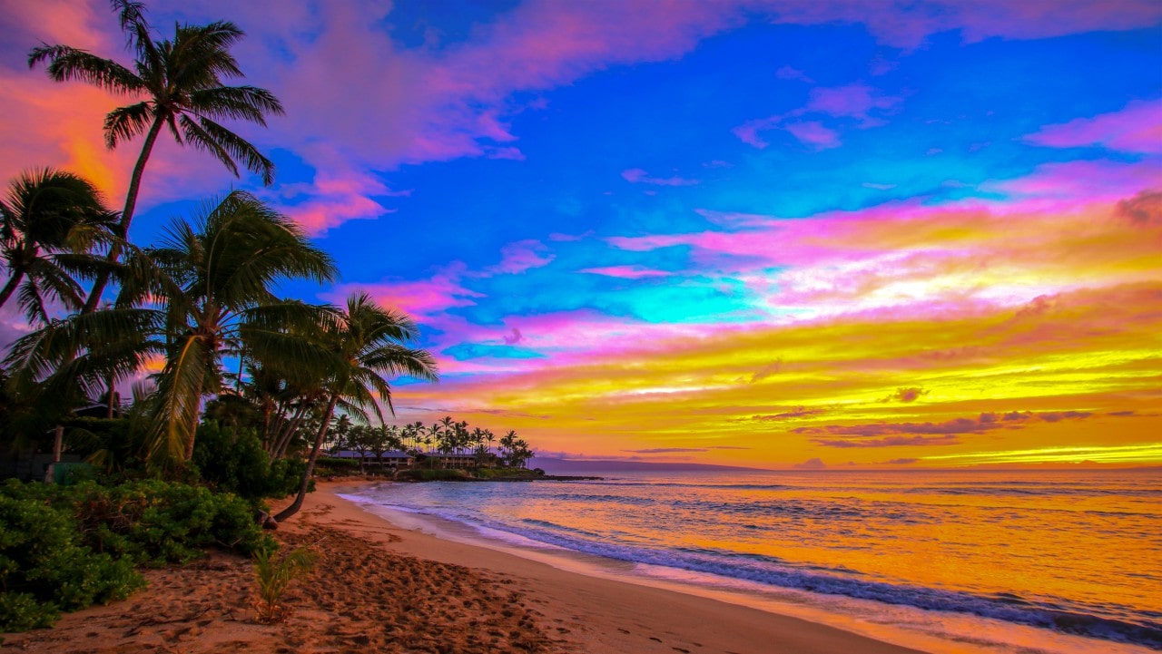 Napili Kai Resort Palm by Sandra Greenberg sunset as seen from beach