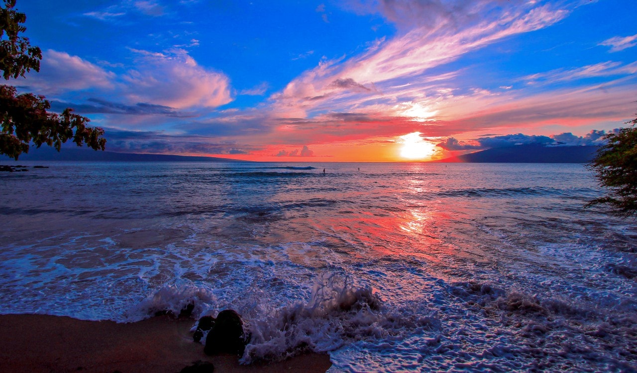 Paddlers In Paradise by Sandra Greenberg sunset over ocean