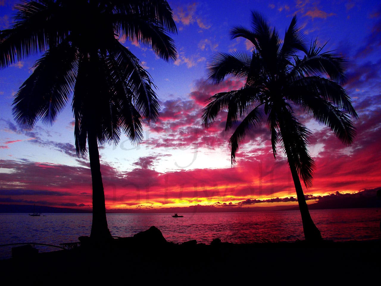 Canoe Beach Sunset by Marty Wolff