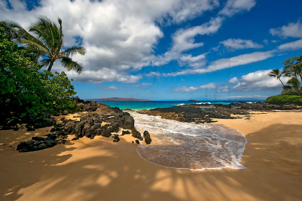 Morning Shadows by Marty Wolff shadows on a beach