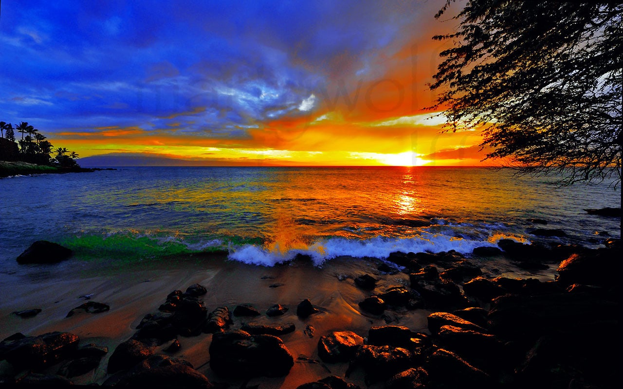 Spectrum by Marty Wolff sunset over the ocean