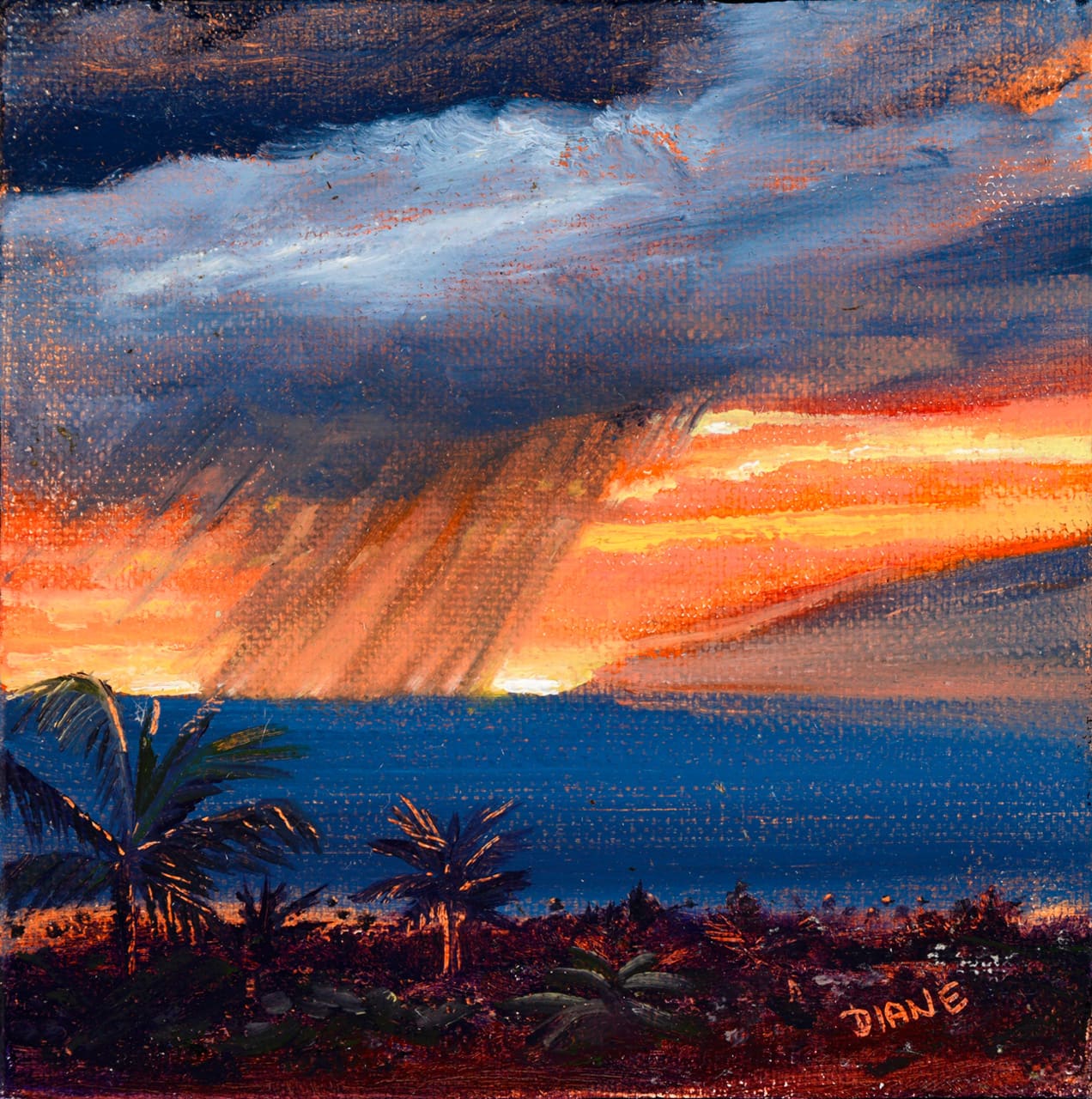 'Kuaua Sunset VI -Maui' 5x5 Oil on Canvas Diane Appler