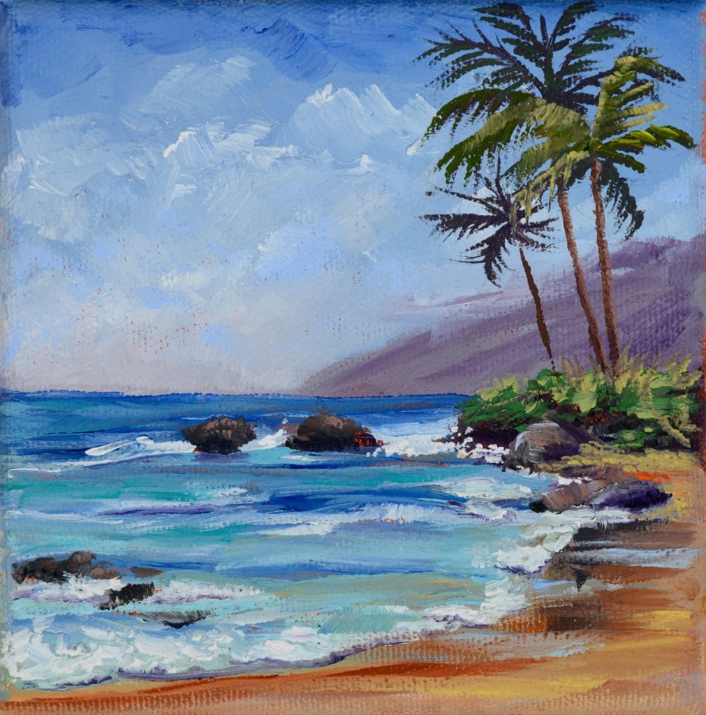 Wailea Polo Beach Maui Hands