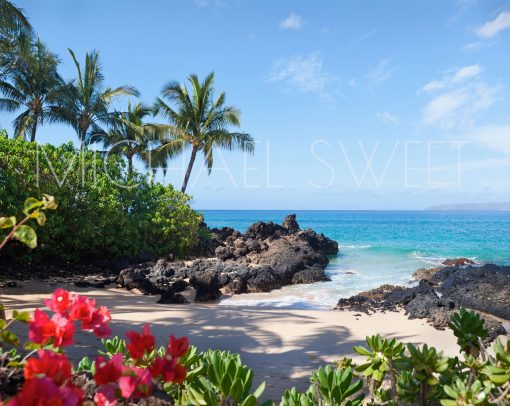 A seascape photo of calm blue waters and plants lining a vacant beach