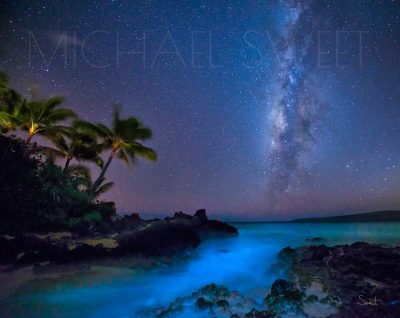 A purple night sky with the milky way visible over blue glowing waters and the shadow of palmtrees