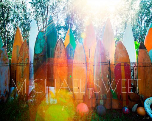 A colorful wall of surfboards is lit by the afternoon sun in Maui, Hawai'i, in this photo by Michael Sweet.