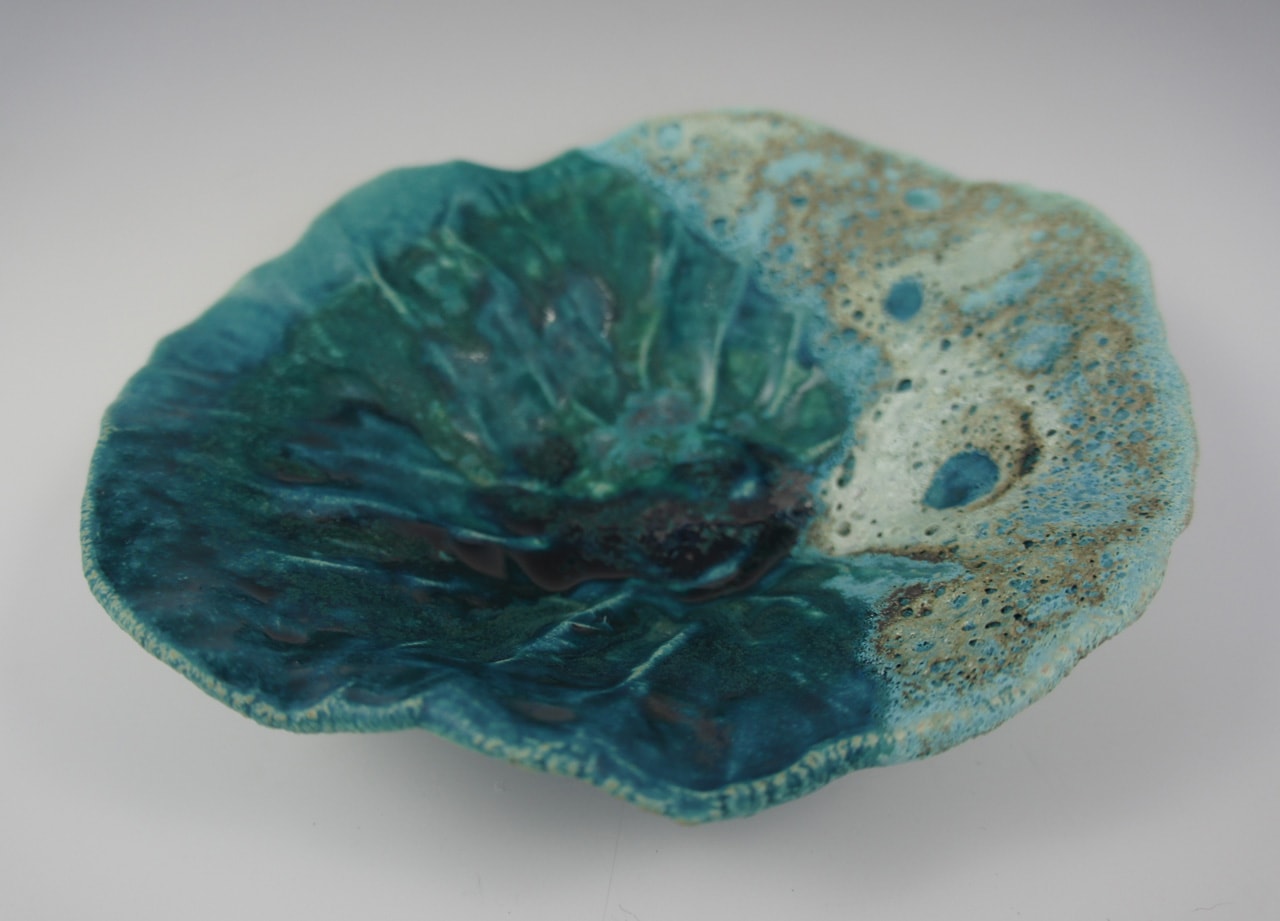 sea shell display bowl
