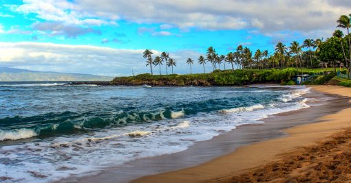 a photo of a vacant beach with small waves rolling onto shore and a palm tree filled cliff in the distance