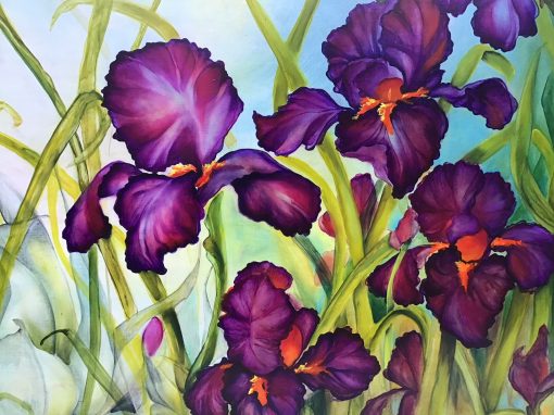 an up-close view of Dianʻs Black Iris by Christine Halton