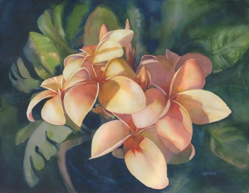 an original watercolor painting of a plumeria bunch. Light pink, yellow, and shades of orange make up 5 plumeria flowers. Leaves of the plumeria tree are visable in the background. All against a deep blue background