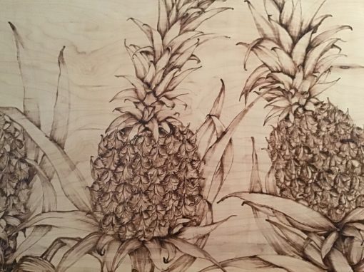 Pineapple Field - Image 3