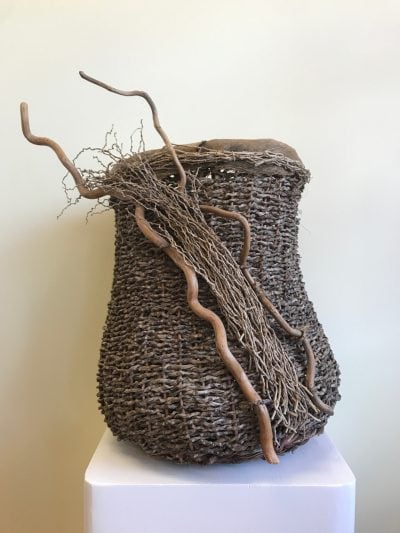 "Why Not" Basketry Sculpture by Dee Chapon