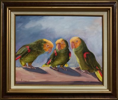 "Parrot Talk" by Steve Rinaldi - SMR211