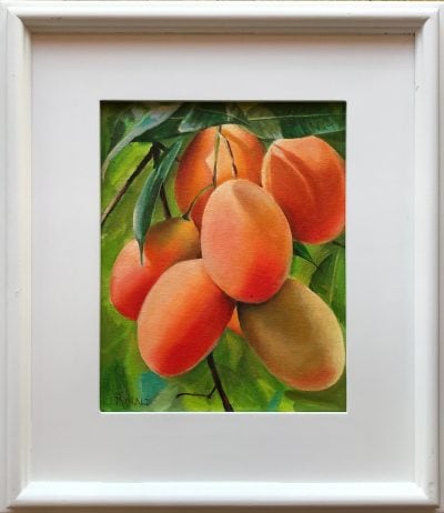 "Mango Tango" by Steve Rinaldi - SMR223