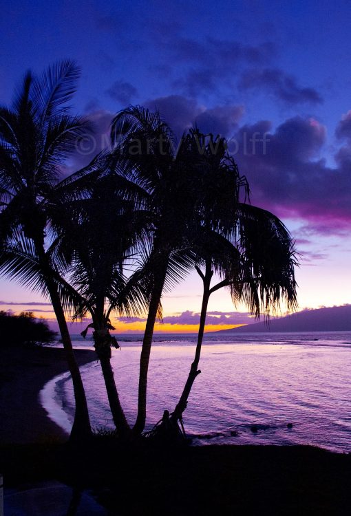 A purple sunset appears in Maui, Hawai’i, in this photo titled “Purple Reign” by Marty Wolff. 