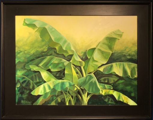 "Banana In Sunshine" by Steve Rinaldi - SMR146