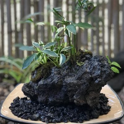 Large Lava Rock Garden by Hawaiian Island Fountains - Example