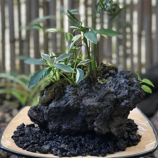 Large Lava Rock Garden by Hawaiian Island Fountains - Example