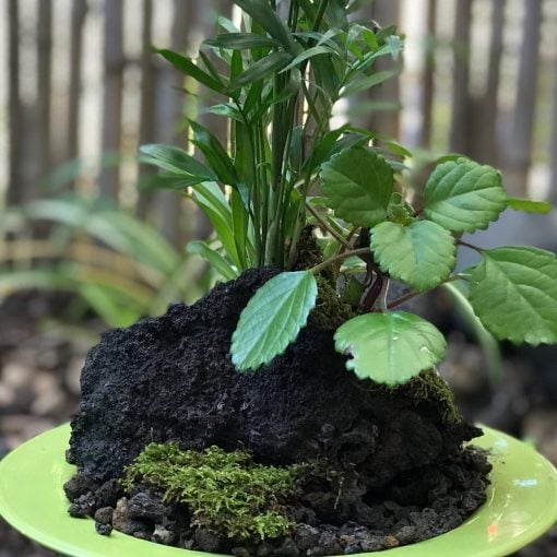 Small Lava Rock Garden by Hawaiian Island Fountains - Example