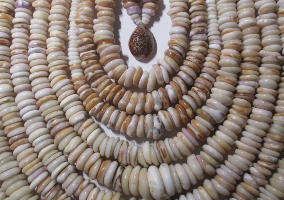 Pono Pukas