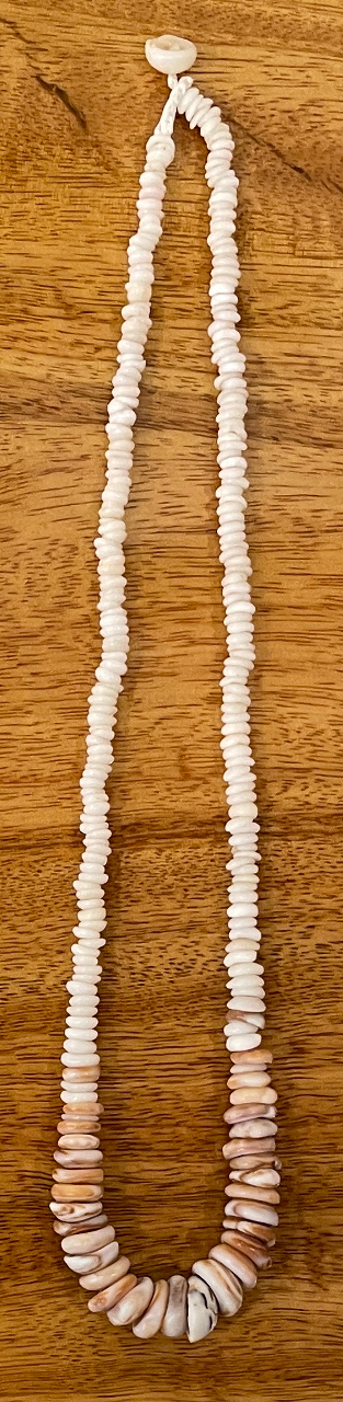 Puka Shell Necklace by Kanna McCann - 19" White and Assorted Colors - PANK1482-P