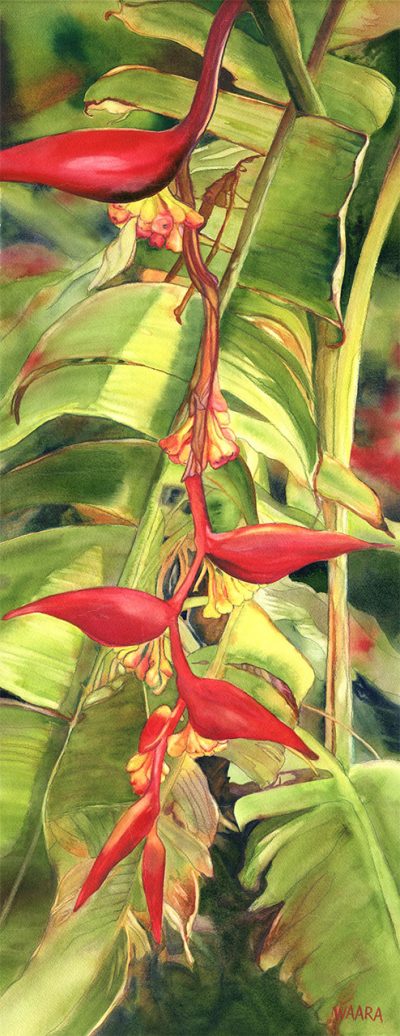 "Hanging Firelight Heliconia" by Christine Waara - CW190