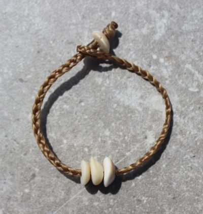 Operculum Shell Bracelet by Sam Grim - SAM884