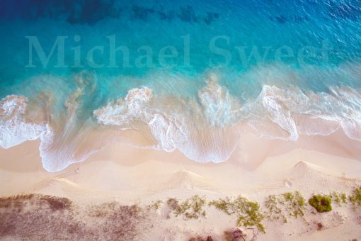 "Shoreline Dreams" by Michael Sweet