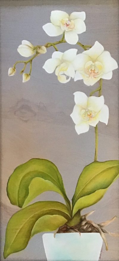 "White Orchid" by Christine Halton - CH587