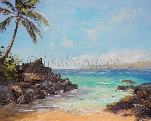 "Pa'ako Beach (Secret Cove) Maui" by Lisabongzee - LBZ265