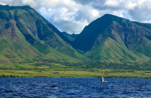 "West Maui Mountains Meet Baby whale" by Sandra Greenberg