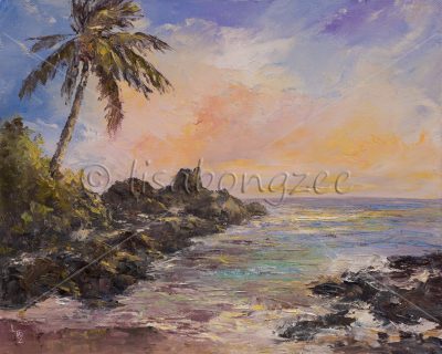 "Pa'ako Beach (Secret Cove) Maui" by Lisabongzee - LBZ272