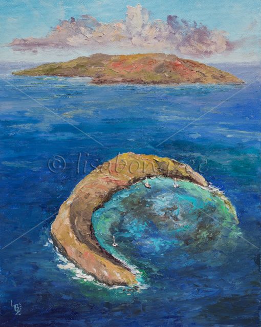 "Birds Eye View Molokini" by Lisabongzee - LBZ275