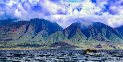 "West Mauis with Whale Tail" by Sandra Greenberg