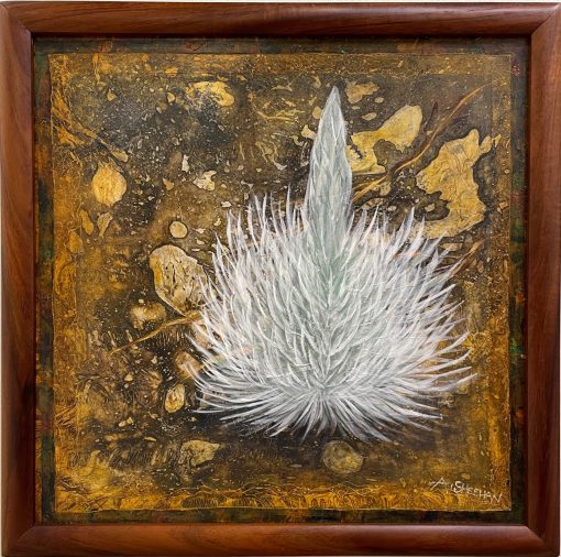 "'Ahinahina" (Silversword) by Annamarie Sheehan - ANNA2114