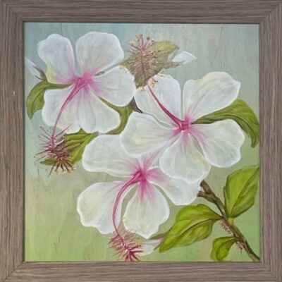 White Hibiscus by Christine Halton