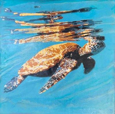 "Honu Reflections" by Jackie Johnston - JJO06