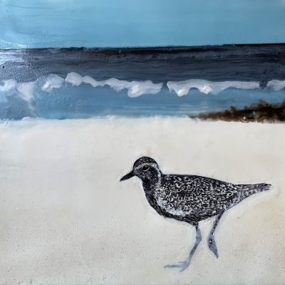 "Kōlea" (Pacific Golden Plover) by Jackie Johnston