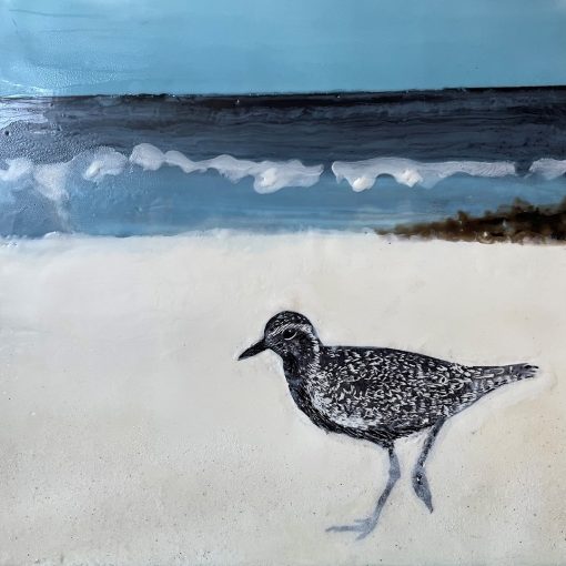 "Kōlea" (Pacific Golden Plover) by Jackie Johnston