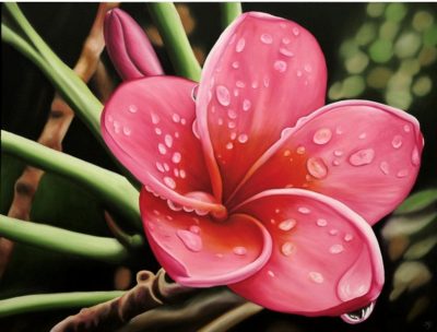 "Plumeria Dew" by Anna (Keay) Lindquist - ANK1105