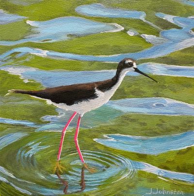 "Pretty In Pink" ('A'eo/Hawaiian Stilt) by Jackie Johnston - JJO01